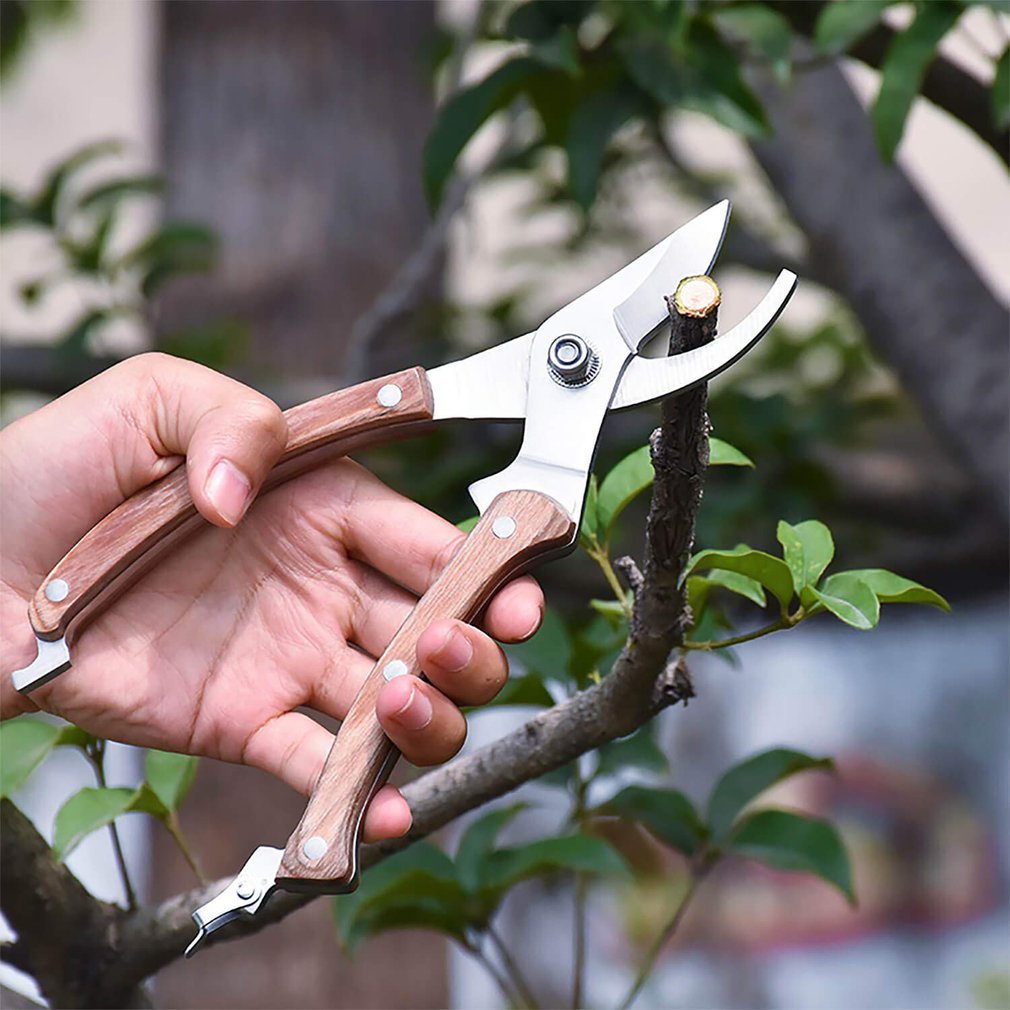 Garden Tools Plant Trim Horticulture Hand Pruner Cut Secateur Shrub Garden Scissor Tool Anvil Branch Shear Orchard Pruning Shear