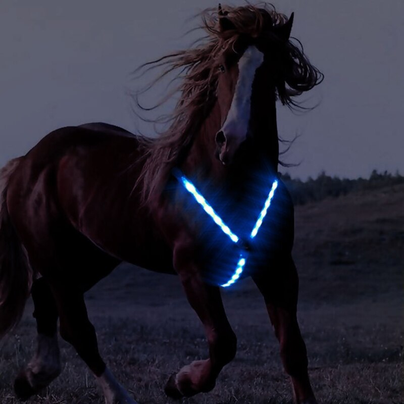 Cavalo cinto cinto cinto de segurança equitação peitoral ajustável noite visível led luz no peito equipamentos