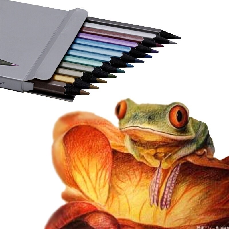 Matite da disegno non tossiche metalliche professionali a 6/12 colori che dipingono penne per schizzi