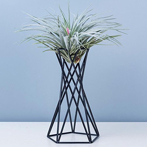 Soporte de planta Pentagonal con antorcha de piña de aire, mesa, recipientes para plantas de Metal, bastidores para flores de hierro geométricos irregulares, decoración del hogar