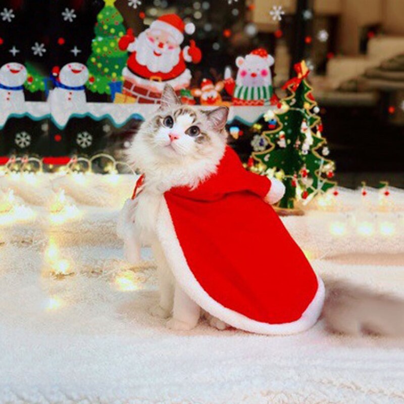 Costume de noël amusant pour chat, chiot, tenue de fête pour animaux de compagnie