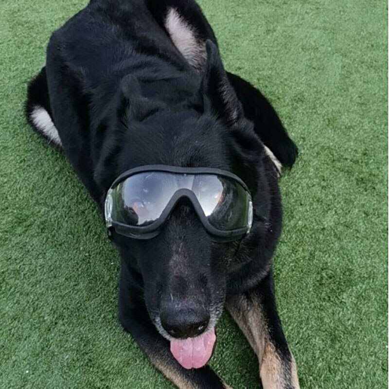 Vandtæt anti-sne store ultraviolette hundebriller kæledyrsbriller hundebriller vandtæt øjenbeskyttelse til kæledyr