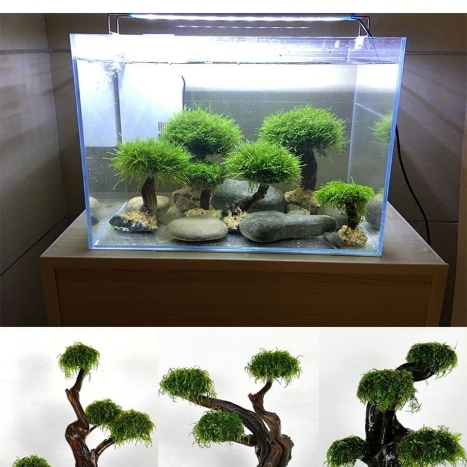 Gør-det-selv akvarie mos træ svamp rustfrit stål net-fastgør mesh pude akvarium dekorationer drivtømmer planter akvarie tilbehør