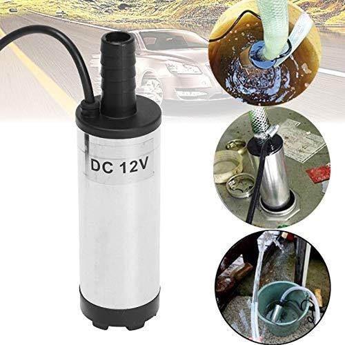 12V DC Electric Submersible Pump for Pumping Diesel Oil Water Stainless Steel Shell 12L/min Fuel Transfer Pump 12 V Volt