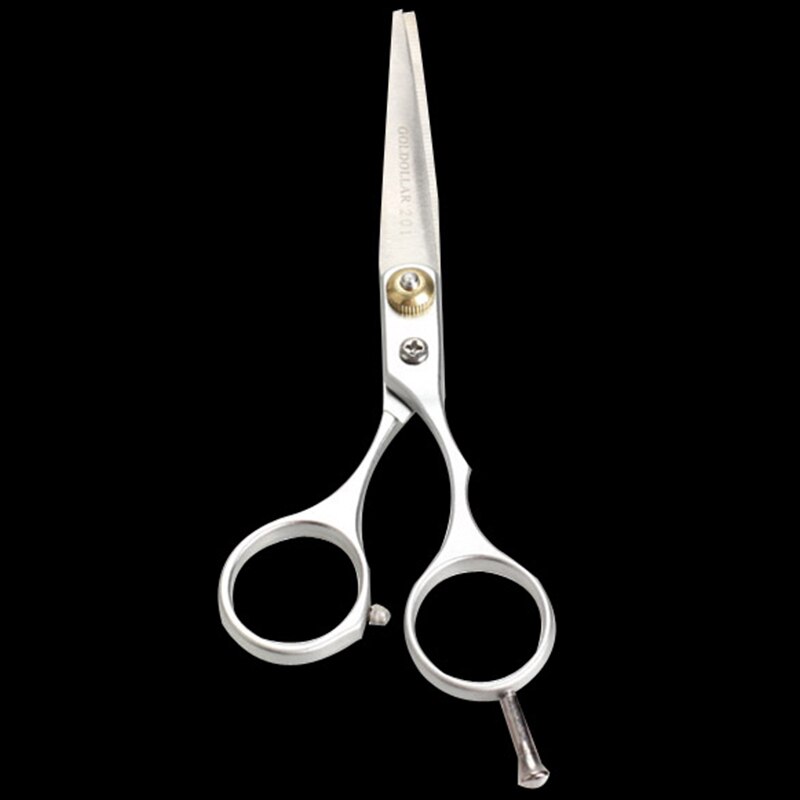 Tyndesaks af rustfrit stål almindelig hårsaks frisørværktøj 88 wh998: Almindelig saks