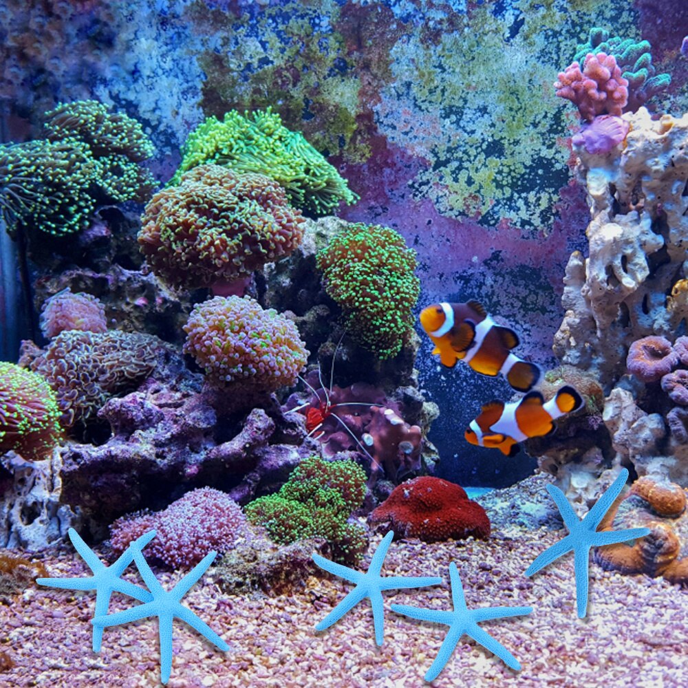 Mini acuario de resina Artificial, Adorno para acuario de artesanía de mar, Estrella bonita, 10 Uds.