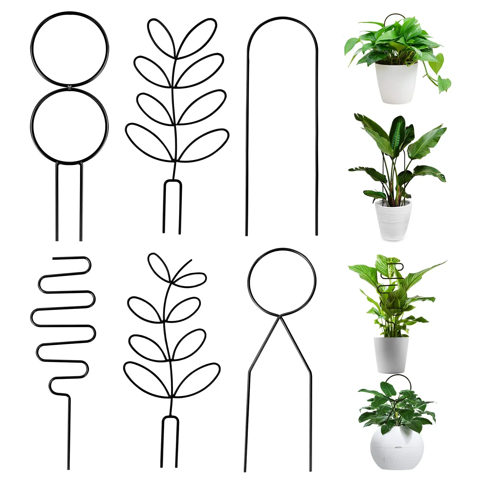 Metall gitter für Kletter pflanzen Ich bin Garten, Pflanzen kletter Regal Topfpflanzen Gold gitter unterstützen Garten bedarf