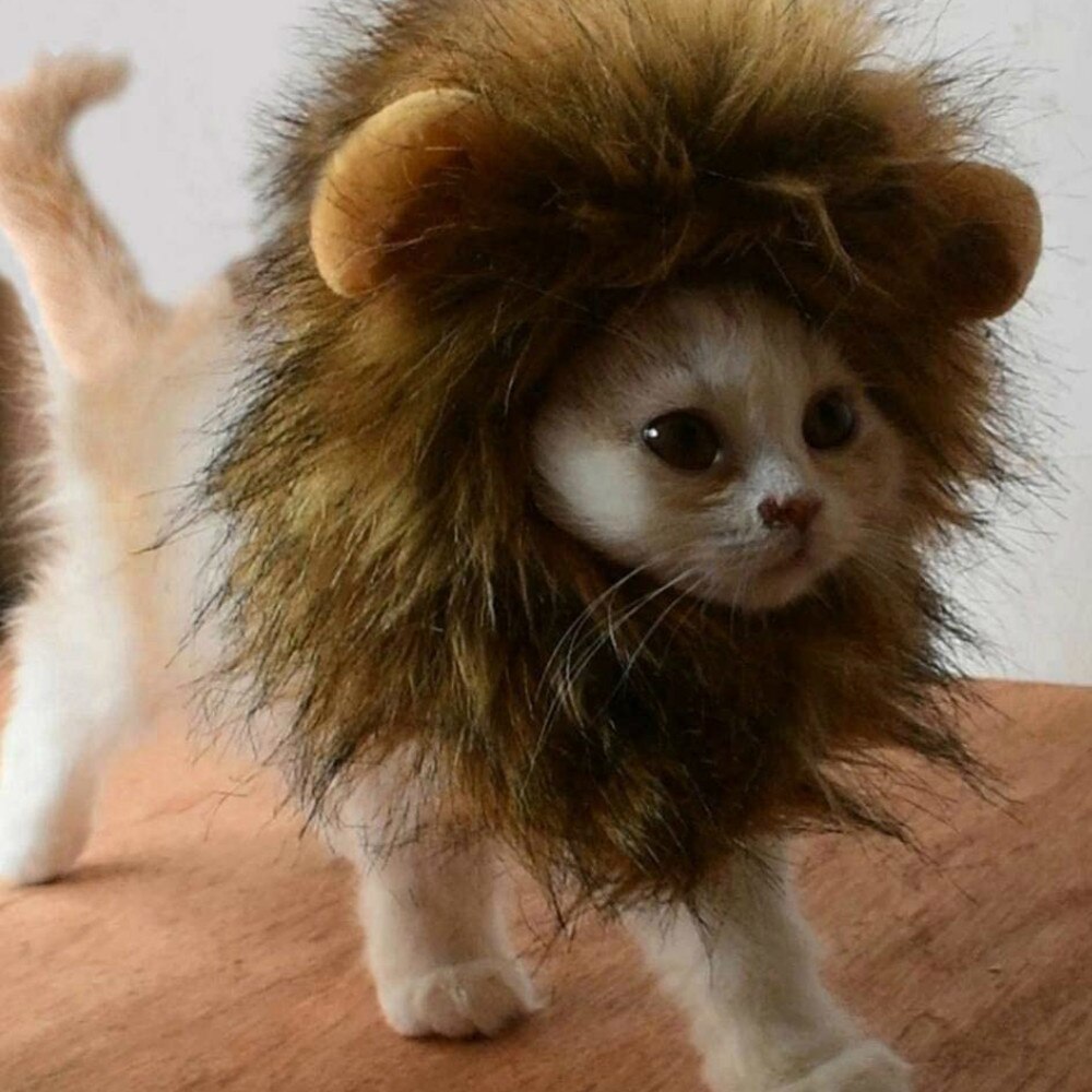 Drôle mignon chat de compagnie Costume Lion crinière perruque chapeau pour chat chien Halloween noël vêtements déguisement avec oreilles vêtements pour animaux de compagnie