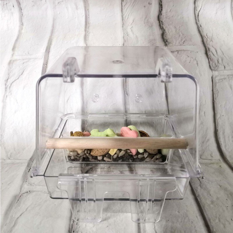 Abreuvoir automatique pratique pour oiseaux, abreuvoir pour Cage à oiseaux
