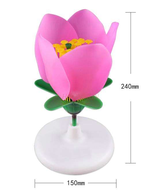 Peach Blossom Model Pistil Enlargement Model Five-petal Ovary Stamen Enlarged Flower Structure Peach Blossom Anatomy Model