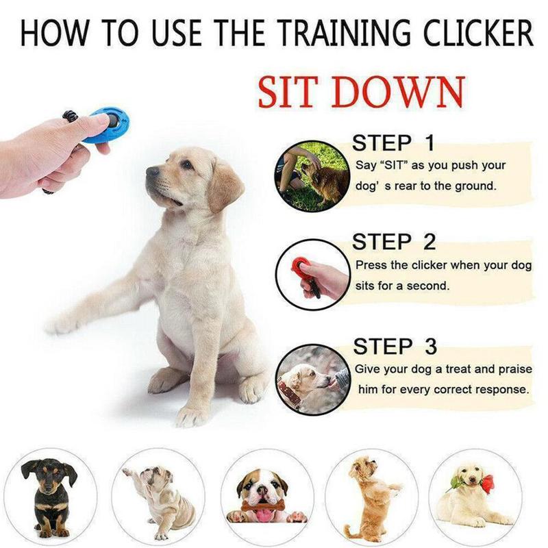 1 Pc animal de compagnie chat chien formation Clicker plastique nouveaux chiens trop sangle poignet aide sifflet clé son formateur clic chaîne outil chien Adjus I1U1