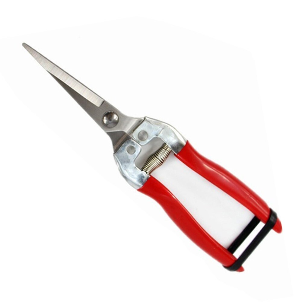 Stainless Steel Tree Pruning Garden Shears Grass Fruit Cutter Gardening Scissors Branch Pruners BOM666: L