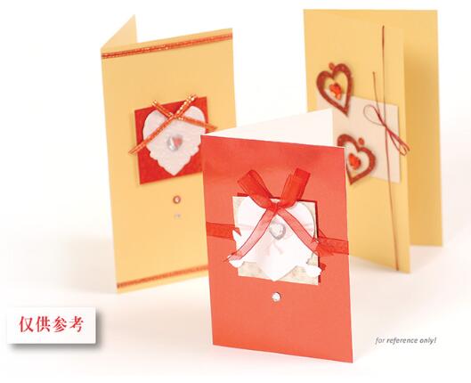 Eno Greeting complete scrapbooking diy card kit for beginner kids craft diy card making kit 6 cards and 6 envelopes: SKC10