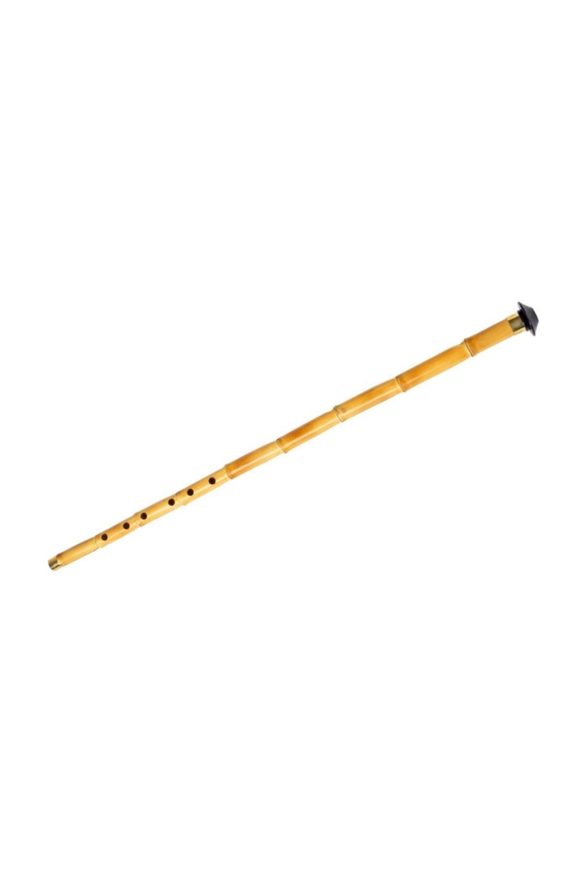 Professionelle Schilf Ney Si + fallen Holz Wind Instrument Musik Sufi