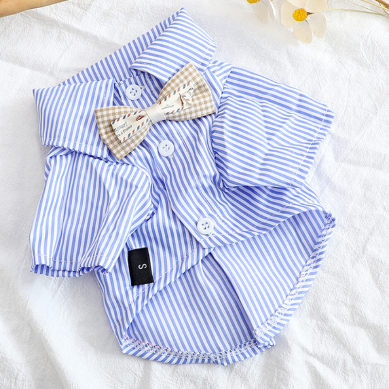 Huisdier Hond Kleding Strik Gestreepte Shirts Dunne Zomer Blauwe Mode Chihuahua Streep Shirt Voor Kleine Honden Kleding: Blauw / 5XL