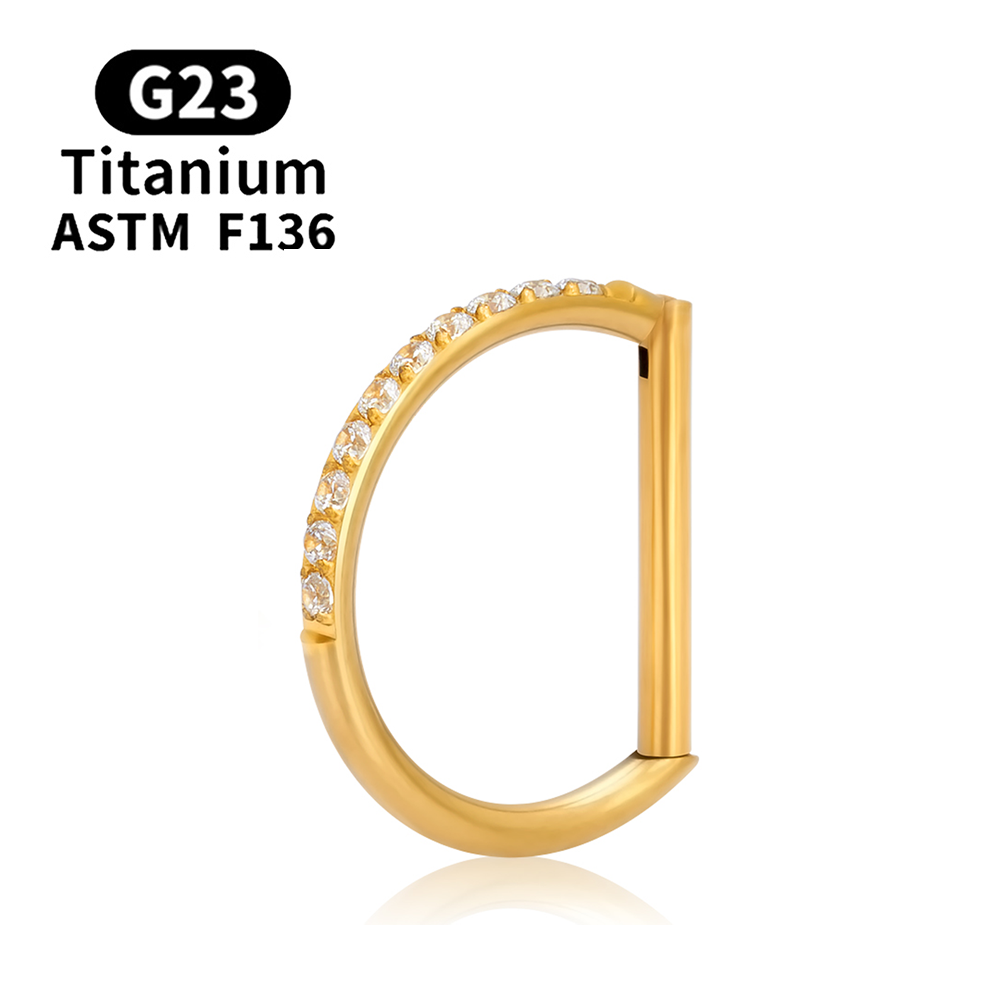 Pendientes de titanio G23, aro redondo para cartílago del trago, hélice Daith, labio con bisagras, segmento, oreja, nariz, anillo, joyería para Piercing corporal