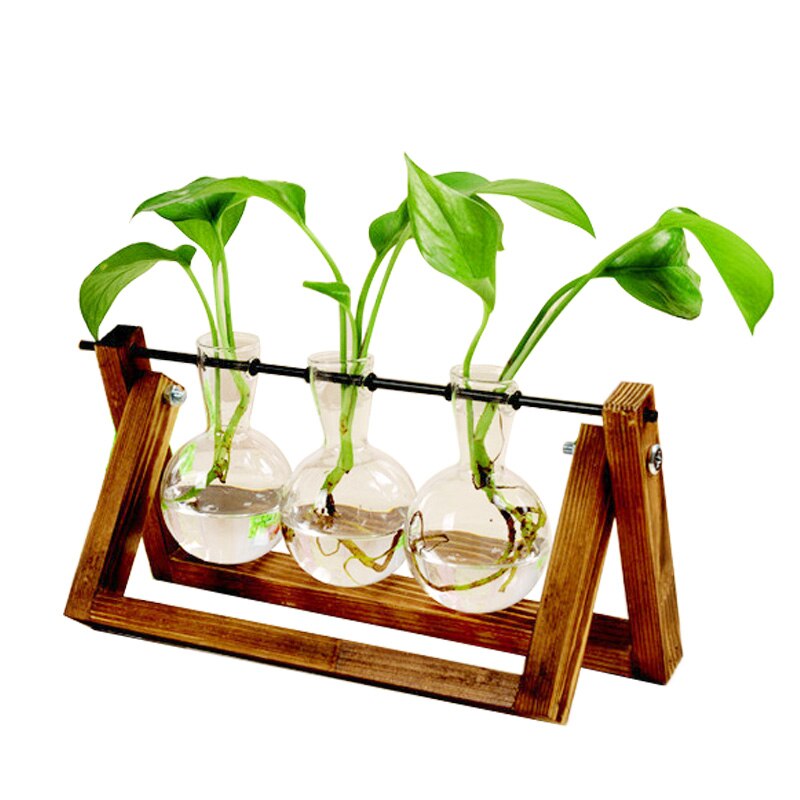 Terrarium Creatieve Hydrocultuur Plant Transparante Vaas Houten Frame Vaas Decoratio Glas Tafelblad Plant Bonsai Decor Bloem Vaas