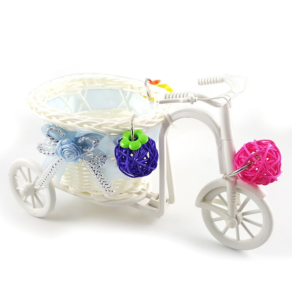 Vogel mini fiets winkelwagen met rotan ballen voor middelgrote en kleine papegaaien intelligentie groei training