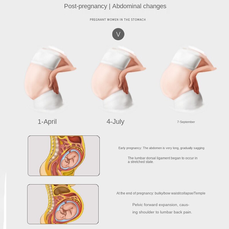 Gravide kvinder bælter moderskab mavebælte talje pleje mave støtte mavebånd tilbage bøjle graviditet beskytter prænatal bandage