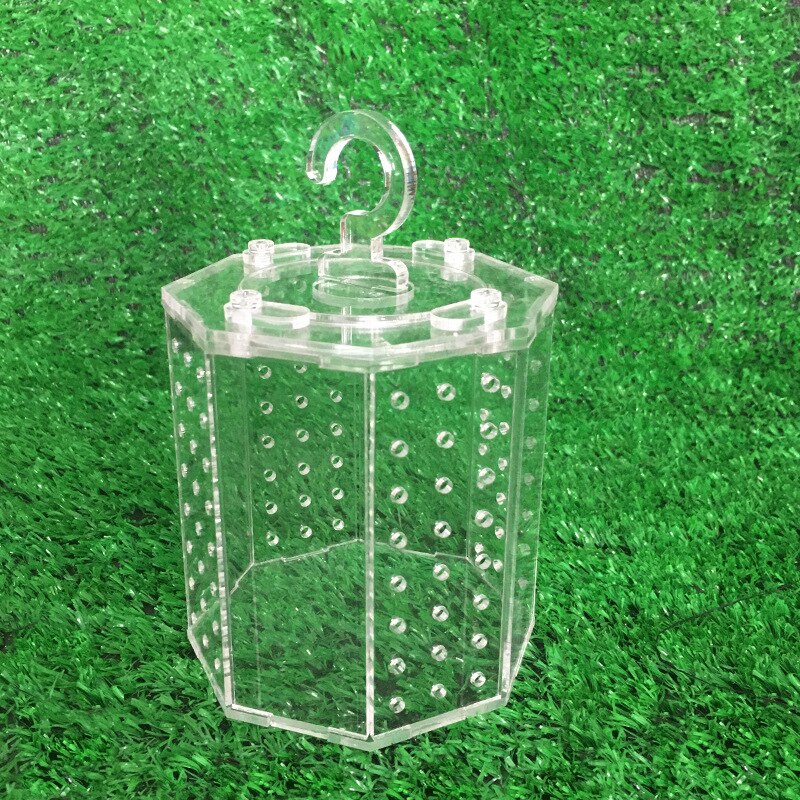 Cage de criquet de sauterelle en acrylique, nid d'insecte pour reptiles