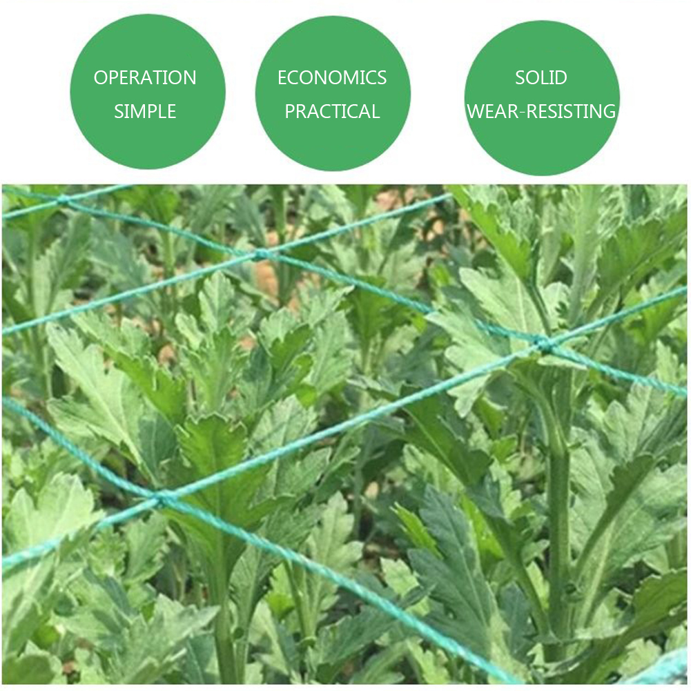 Lattice Net Green Gardening Plant Climbing Frame Mesh Ornaments Flower Vine Holder Mesh Wear-resistant for Cucumbers Watermelons