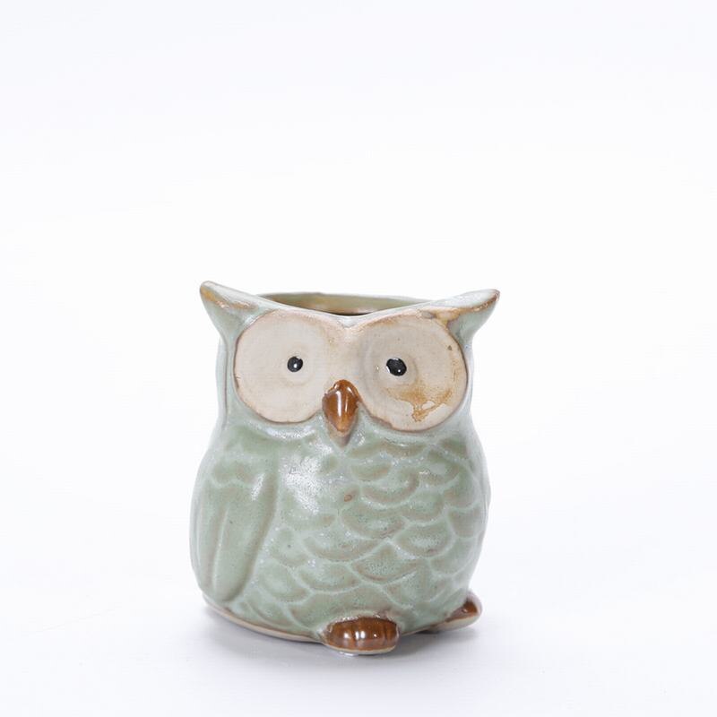 PIANTE SUCCULENTE PORTACASA Vaso Vaso Bacino in Terracotta Stile