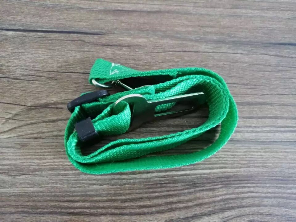 10Pcs Pet Seat Belt 11 Kleuren Epet GS001 Zo Laag Als 0.36Usd Per Stuk: 10pcs green