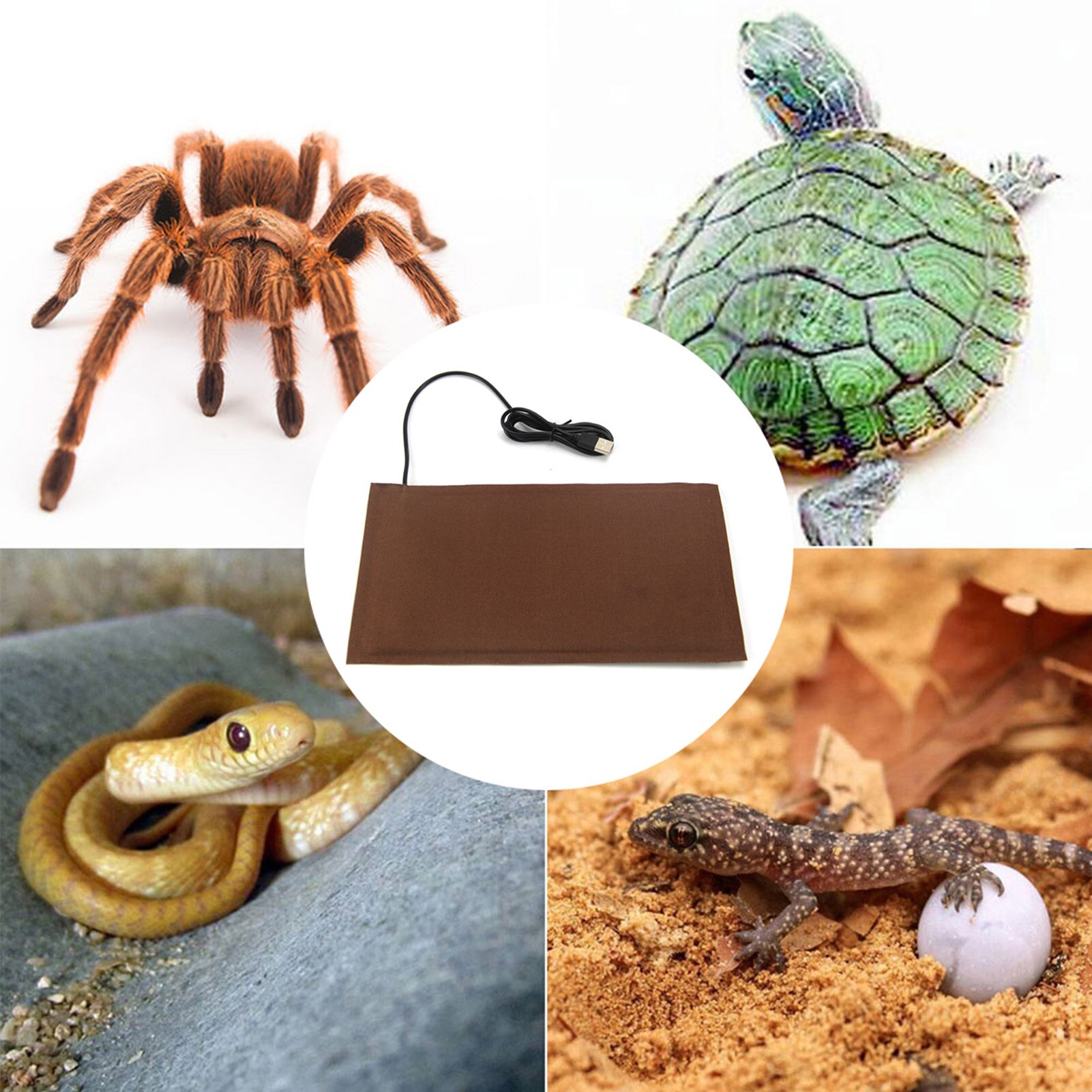 Reptile Heating Pad Temperature Control Pet Warmth Piece Lizard Hamster Anti-Smashing Urine Scratching Care Blanket