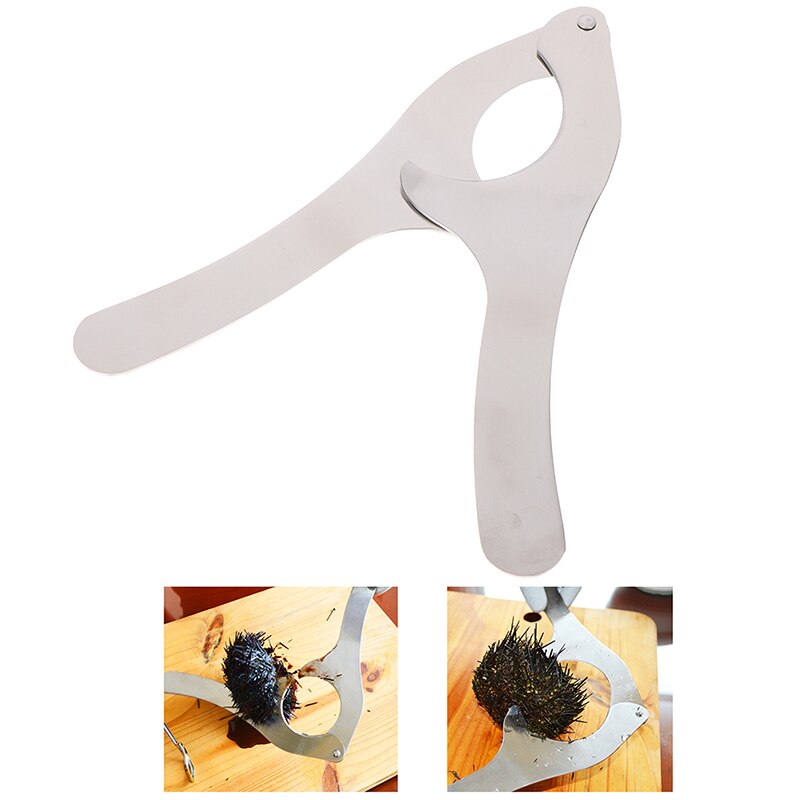1Pc Zee-egel Opener Schaar Echinus Tang Kastanje Open Cutter Professionele