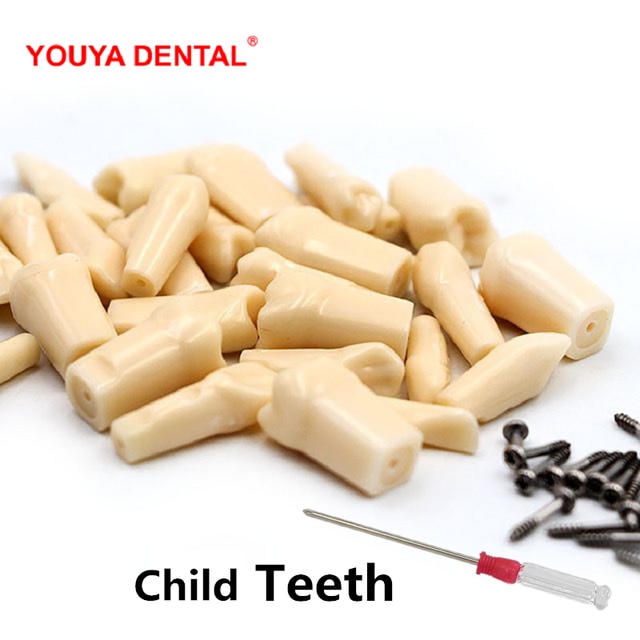 Standard Dental Teeth Model For Dental Technician Practice Studying Jaw Model With Removable Teeth Teaching Gum Typodont Models: 24pcs-set Kids Teeth