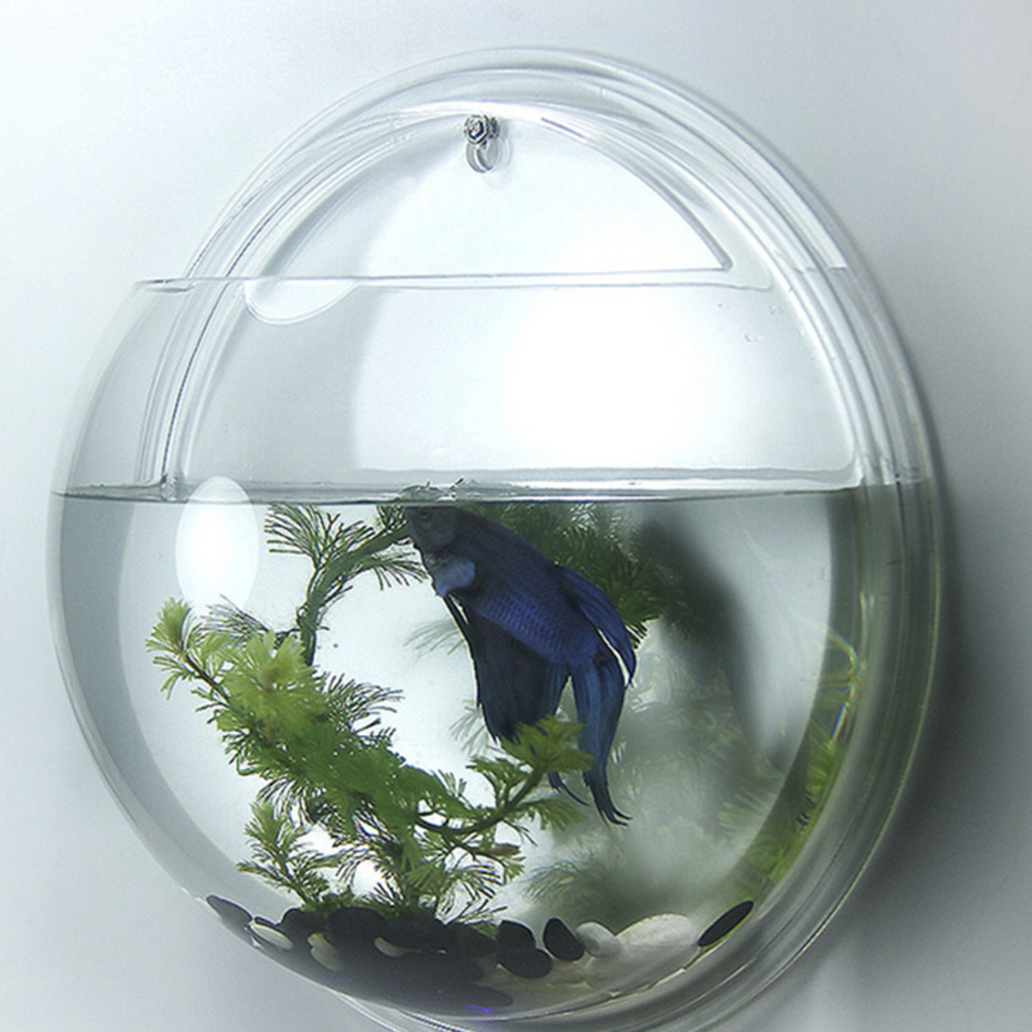 Halvcirkelformet væghængende glasplante blomstervase hydroponisk terrarium fiskeskål tank akvarium til boligindretning
