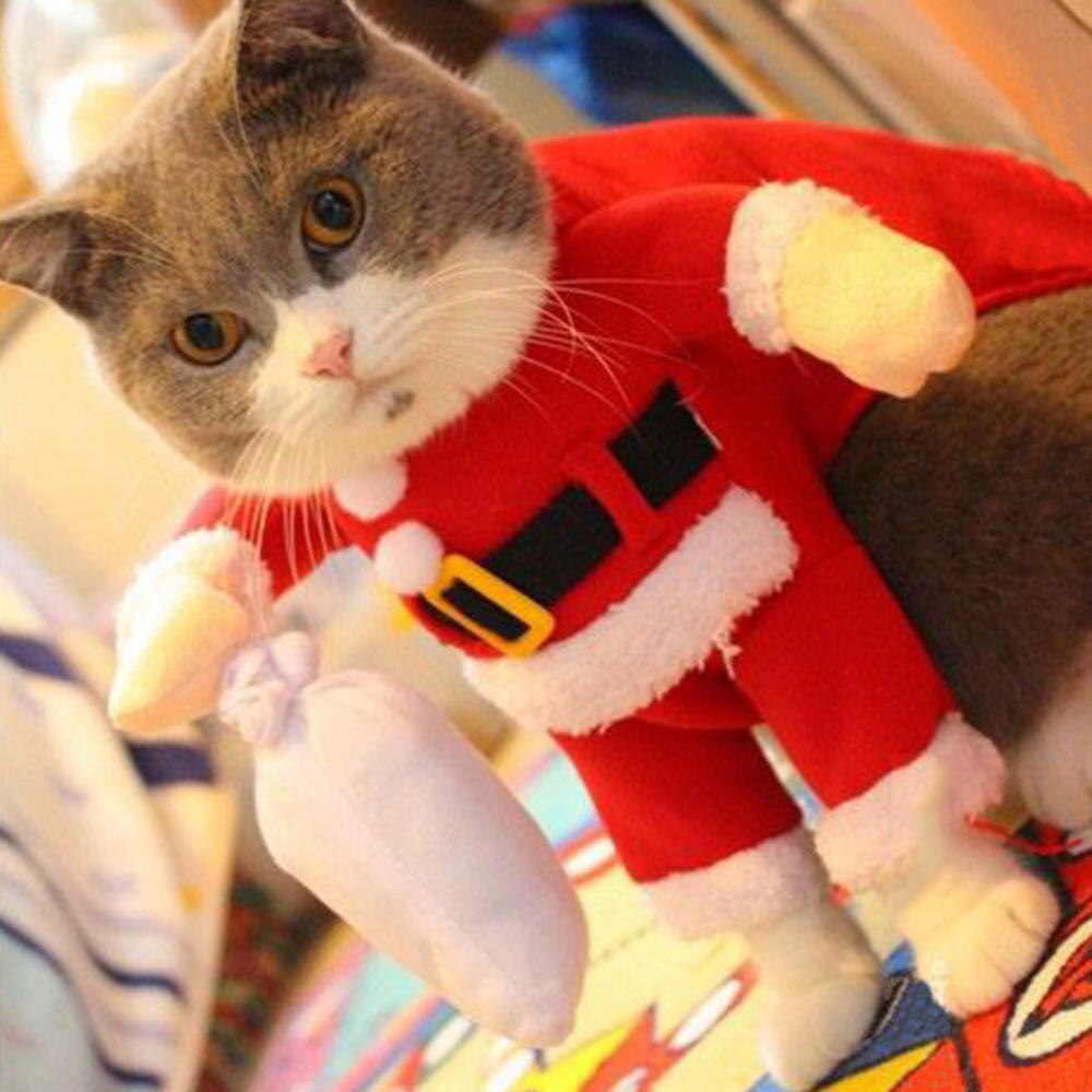Traje para perros de Papá Noel, ropa de Navidad para perros pequeños, abrigo con capucha para perros pequeños, chaquetas, ropa para cachorros y gatos, Atuendo para Chihuahua