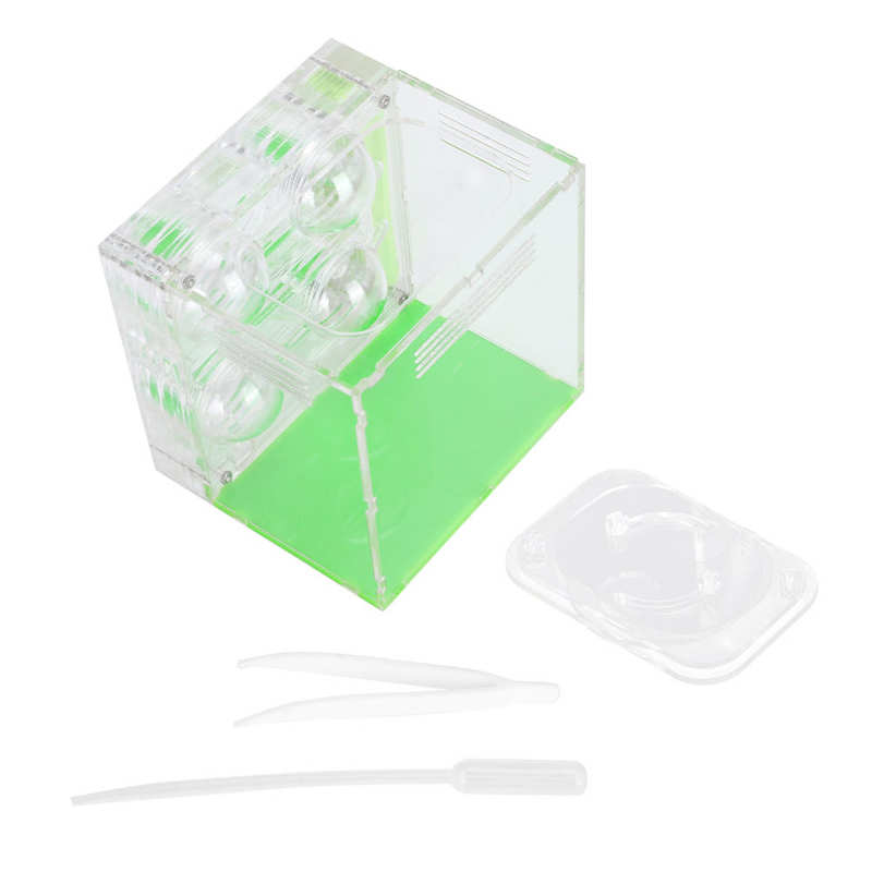 Insect box Insects Box Transparent Acrylic Ant Breeding Box Watching Feeding Moisturizing Pet Ants Case C Type Reptiles