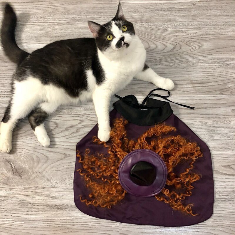 Dog halloween clothes