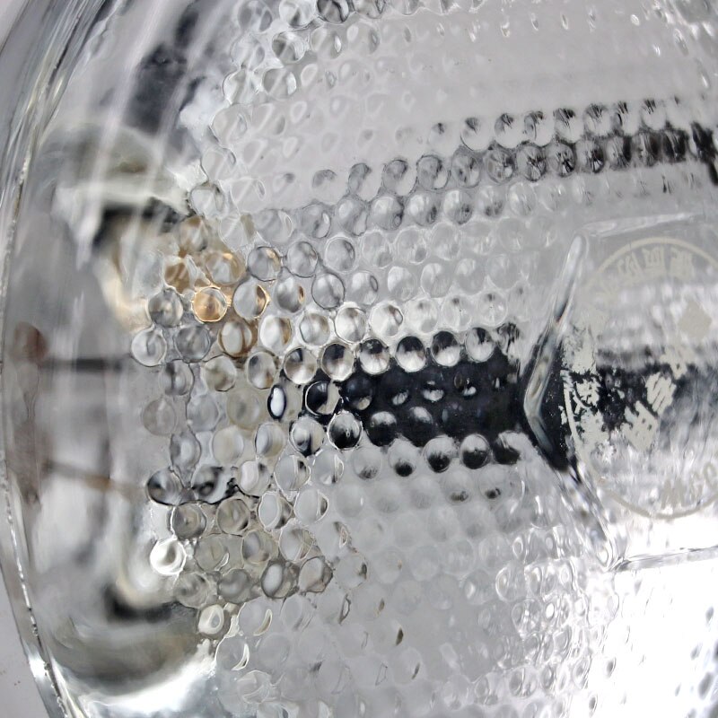 Animale da compagnia Lampadina Riscaldamento Allevamento Animali Lampada di Calore per Terrari Rettili Lucertole Maiale Pollo Isolamento Animale Domestico lampada Chioccia