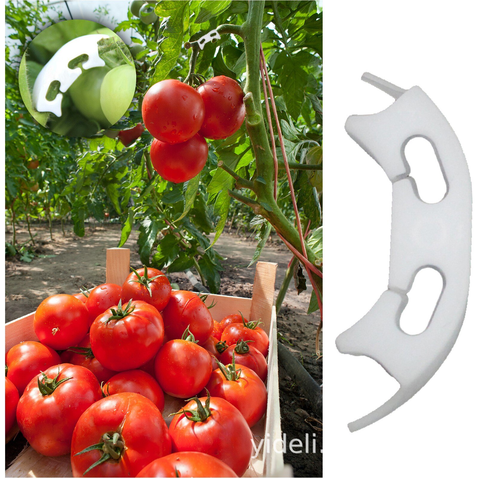 Reusable Plastic Plant Clips Supports Connects Protection Grafting Fixing Tool Gardening Supplies for Vegetable Tomato