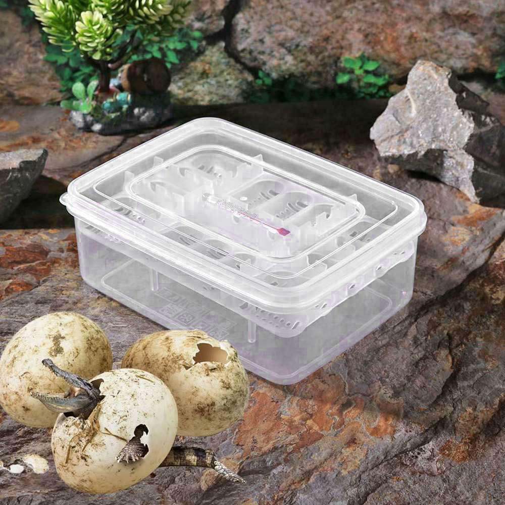 Plast reptiler ägg inkubator bricka ödla orm ägg kläckare låda med termometer reptil ägg låda reptil avel låda