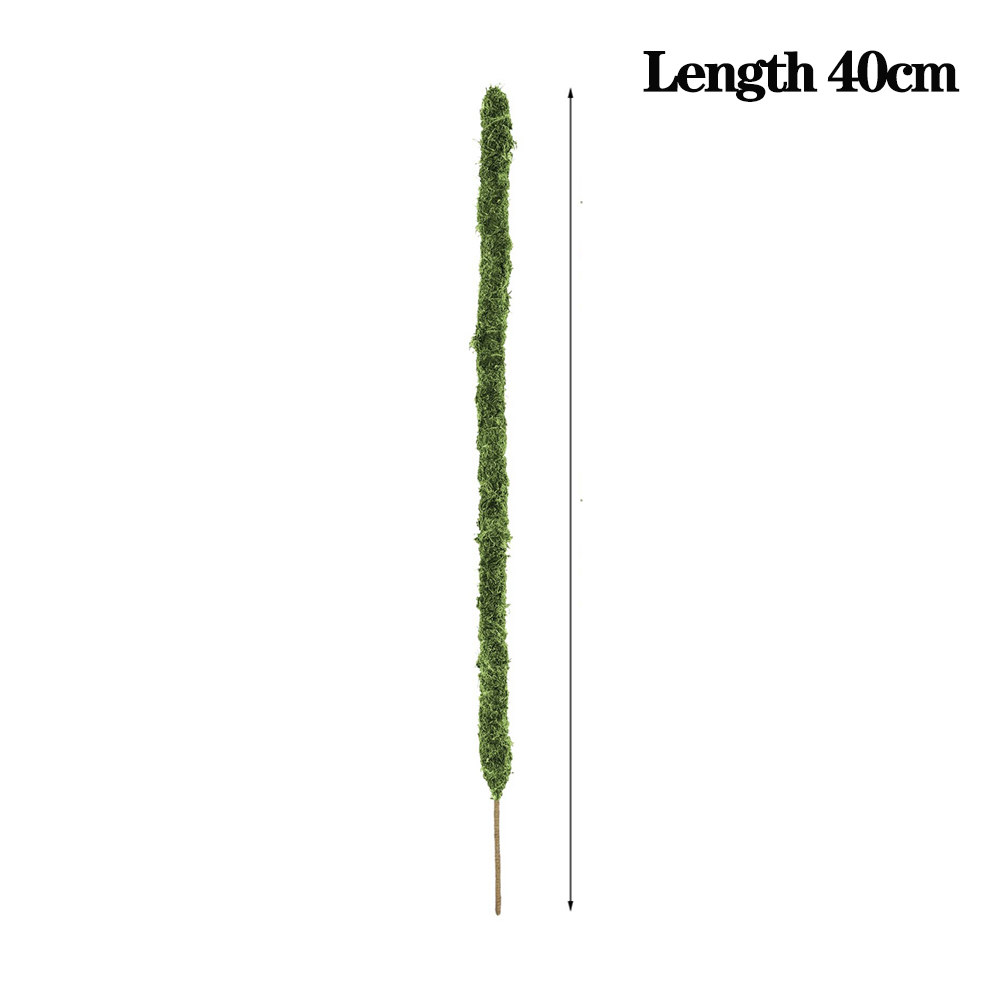 Mospaal Buigbare Plant Stakes Handgemaakte Slanke Monstera Plant Ondersteuning Mos Plant Sticks Ondersteuning voor Grote Indoor Pot: Bruin