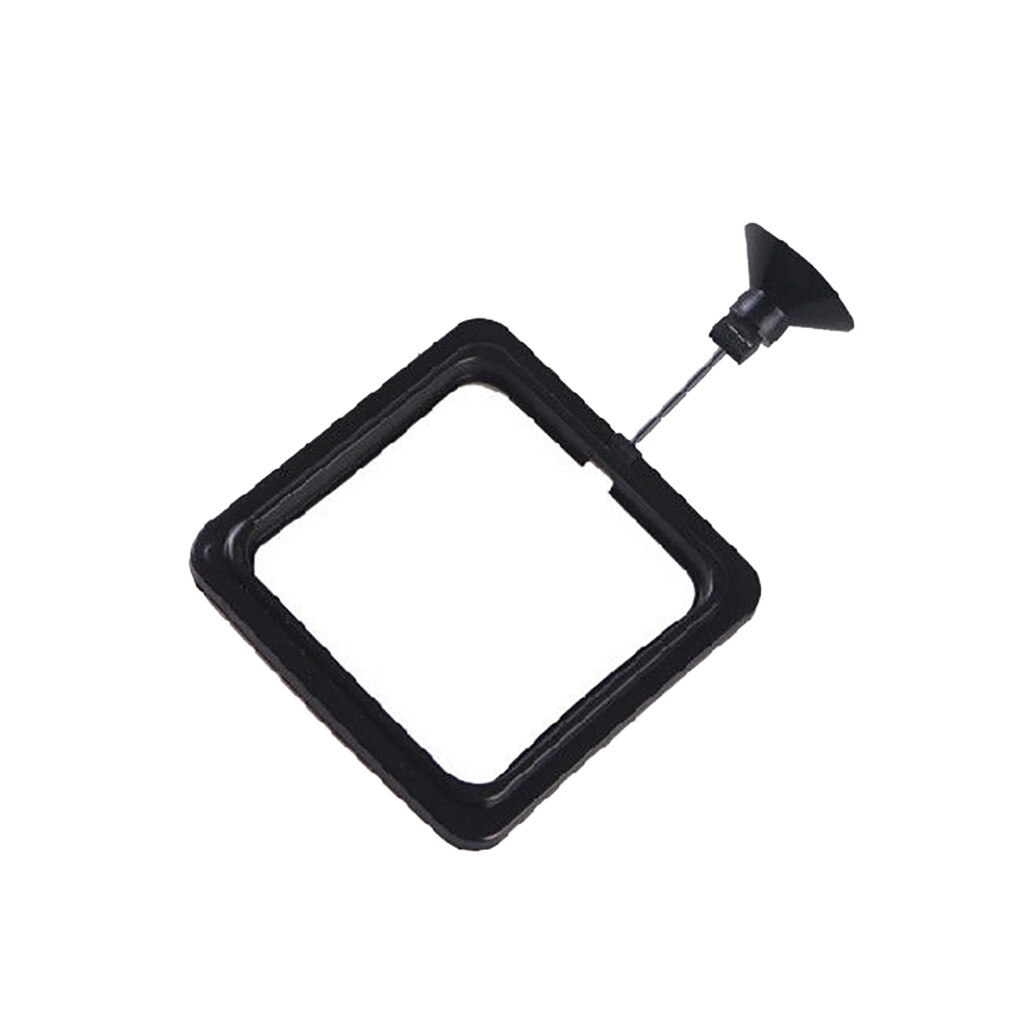 Feeding Ring Aquarium Fish Tank Station Floating Fish Feeding round Food Tary Feeder Square/Circle Home Fish feeding frame: A