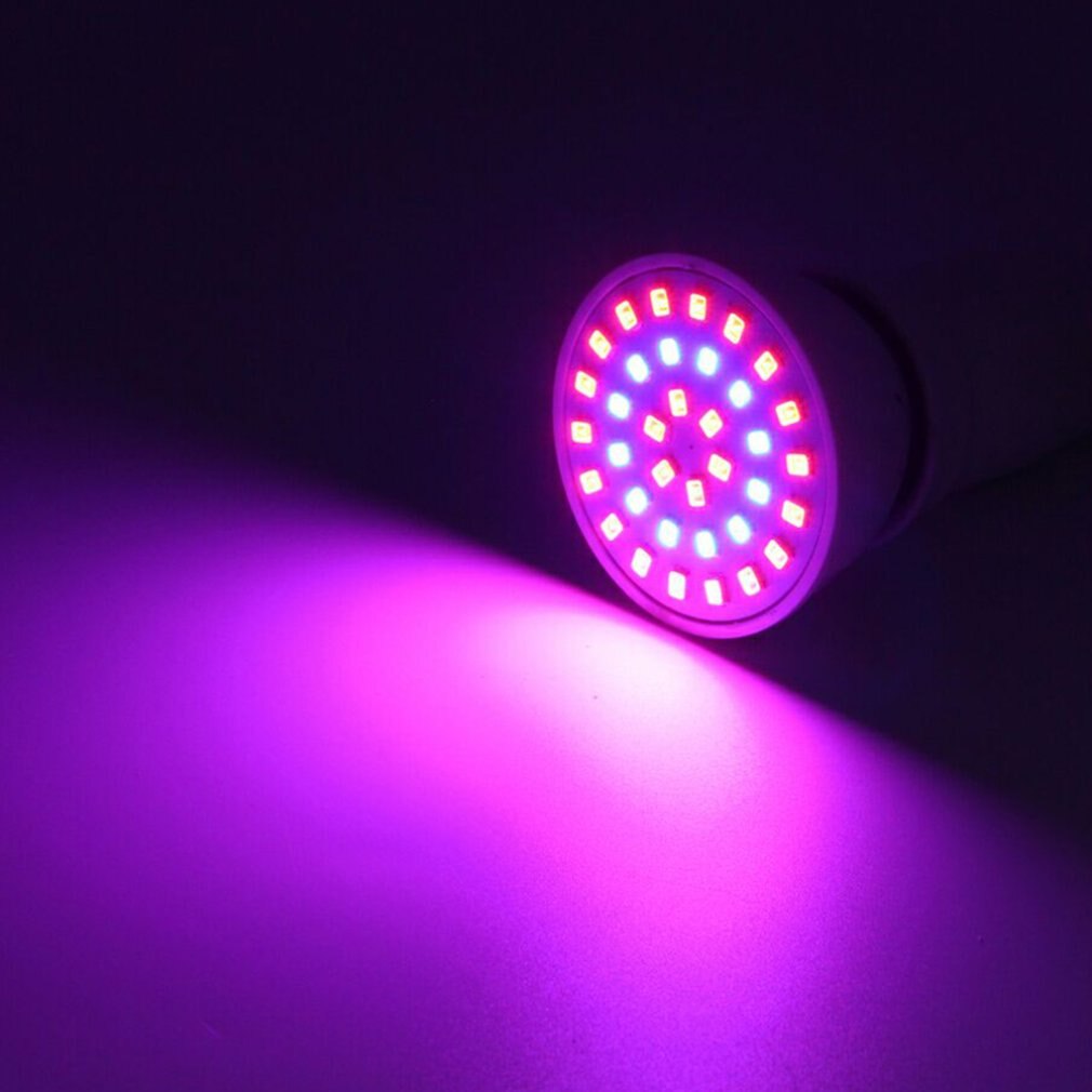 LED Plant Grow Light Full Spectrum LED Grow Light Plant Lamp Indoor Seedlings Flower Fitolampy Grow Tent Box