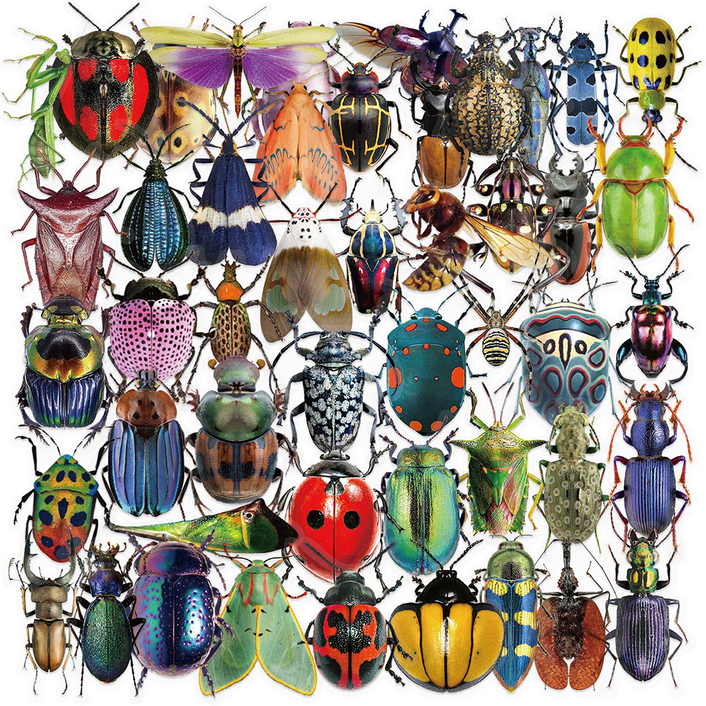 10/30/50pcs Cartoon Transparent Realistic Insect Beetle Stickers DIY Laptop Fridge Suitcase Cool Scrapbooking Decoration Sticker