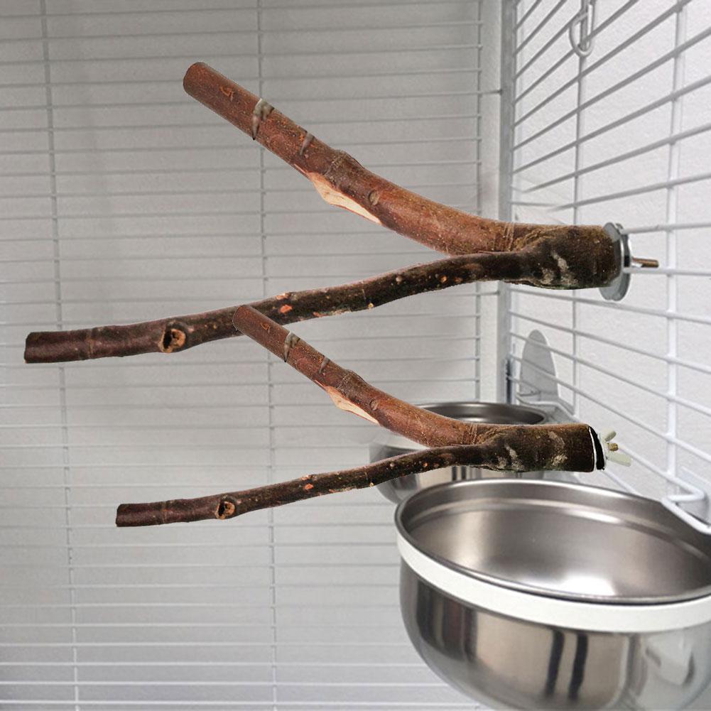 Juguete para loro, rama de árbol de registro para mascotas, juguete de dos puntos, doble Tenedor de árbol, soporte para pájaros, Bar, loro, juguete de entrenamiento, loro encaramado en rama