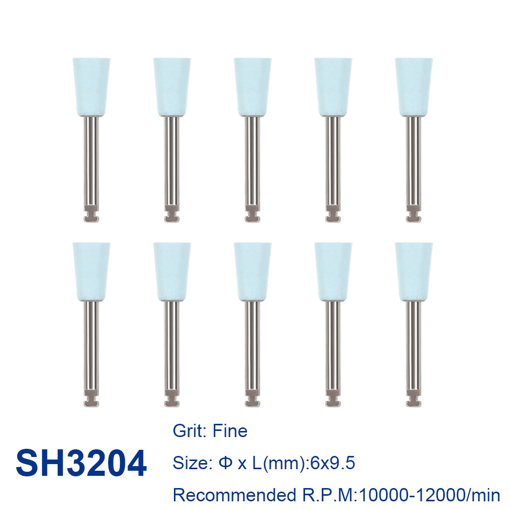 AZDENT 12 teile/paket Zahn Silikon Polieren Spitze Schleifen Köpfe Zähne Polierer RA Bohrer Dia. 2,35 mm für Handstücke mit niedriger Geschwindigkeit: dunkel Lila