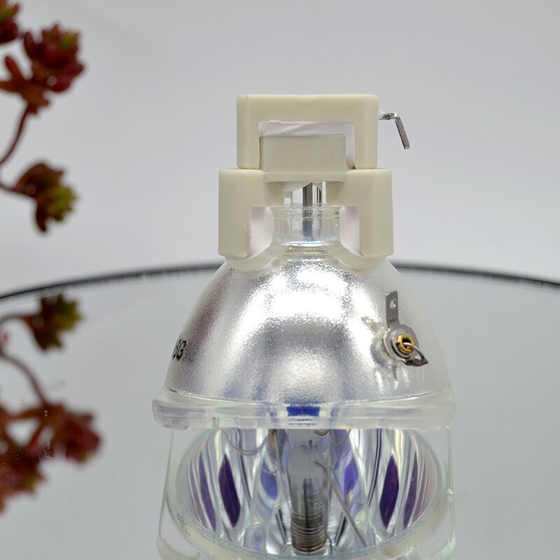 Optoma SP.8EG01GC01 Compatible Projector Lamp - 200W Replacement Bulb
