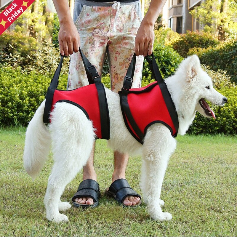 Arnés tipo chaleco para perro, soporte ajustable para escalera, elevador de mascotas, chaleco de soporte, herramienta de cuidado de seguridad para perros grandes dañados, productos para caminar
