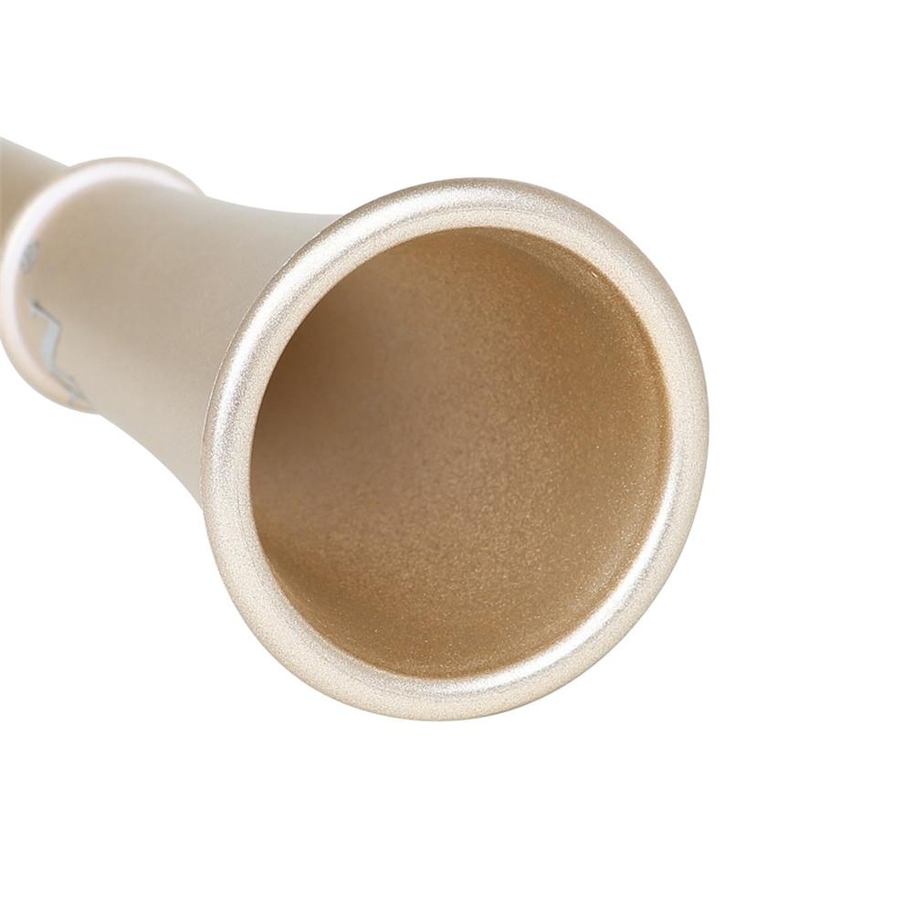 Clarinetto e-piatto strumento musicale Sax clarinetto compatto-sassofono per principianti Mi-03