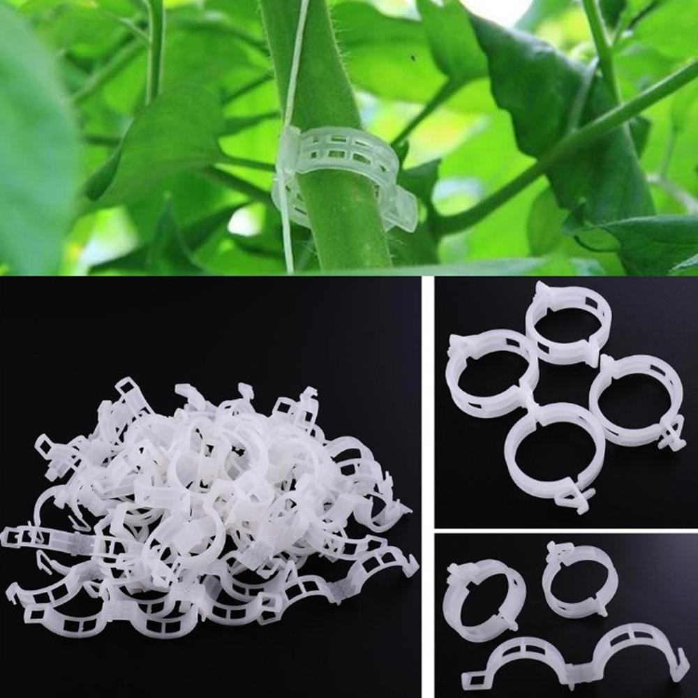 50/100/200 Pcs 23 Mm Plastic Plant Ondersteuning Clips Klemmen Voor Planten Opknoping Wijnstok Tuin Kas Groenten tomaten Clips