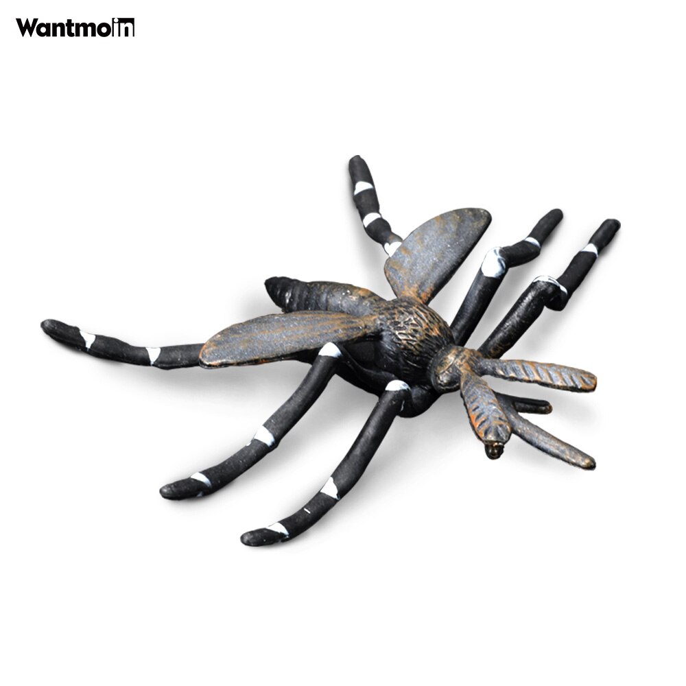 World-famous Dangerous Poisonous Wild Animal with Honey badger spider mosquito monitor lizard scorpion centipede snake Halloween