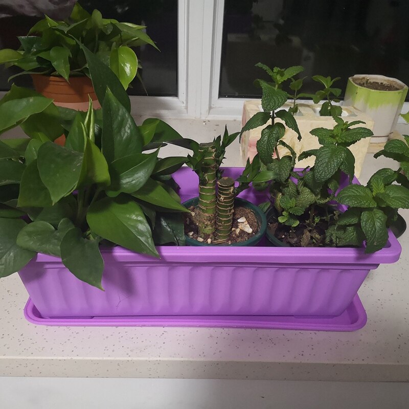 3Pcs 17 Inches Purple Flower Window Box Plastic Vegetable Planters for Window Sill, Patio, Garden, Home Decor, Porch