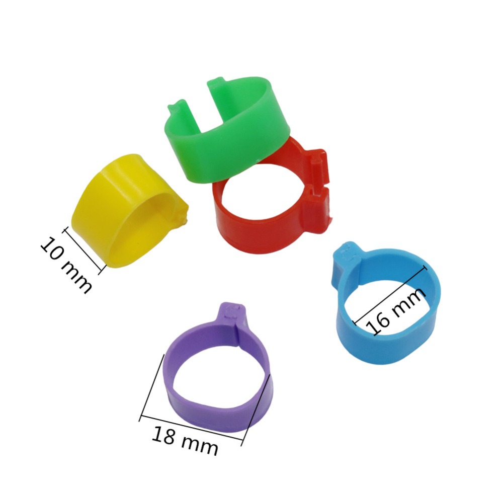 500 st fjäderfäfotsring kycklingfåglar vaktelunge ankungeduva 1.6 cm inre diameter igenkänningsfotring kycklingverktyg